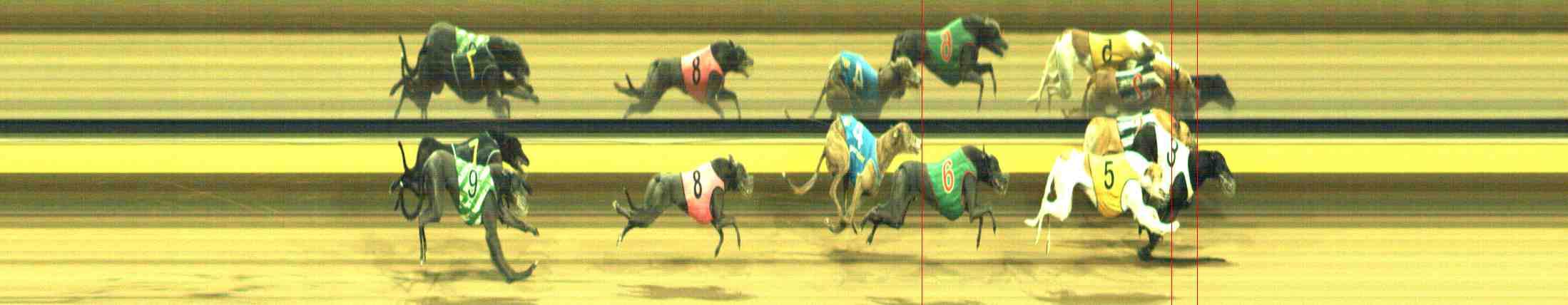 Photo finish for Horsham Race 12
