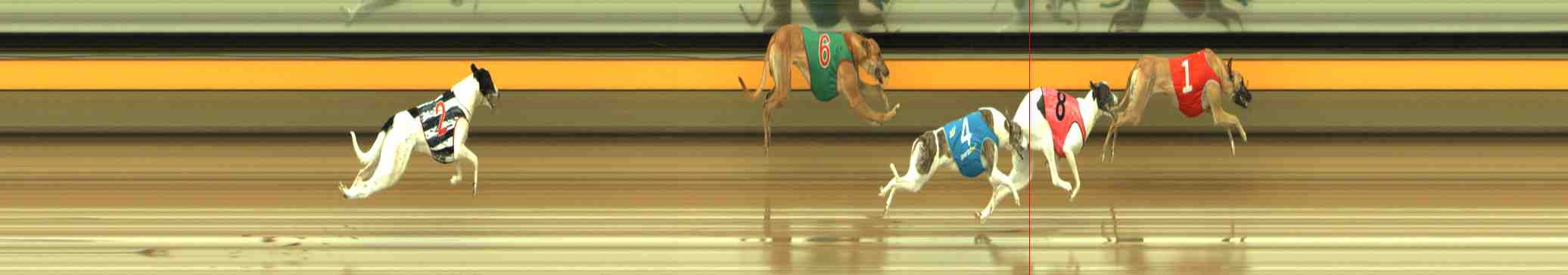 Photo finish for Horsham Race 1