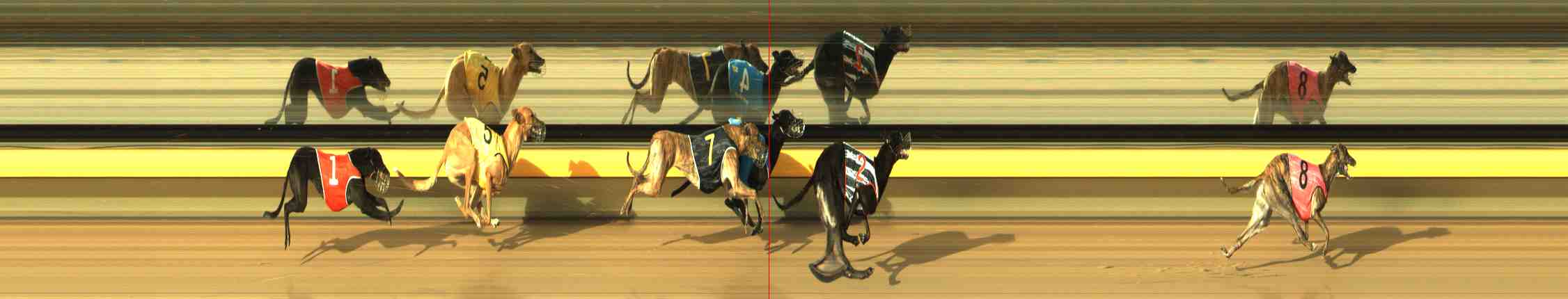 Photo finish for Horsham Race 2