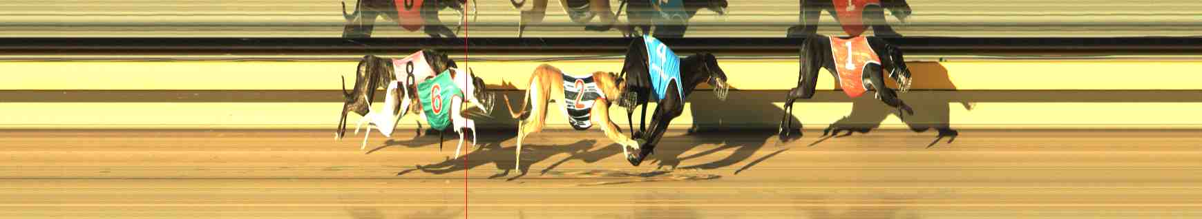 Photo finish for Horsham Race 3