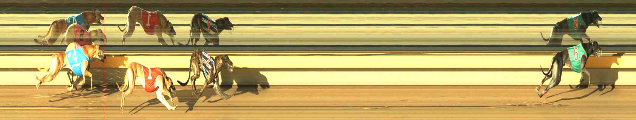 Photo finish for Horsham Race 4