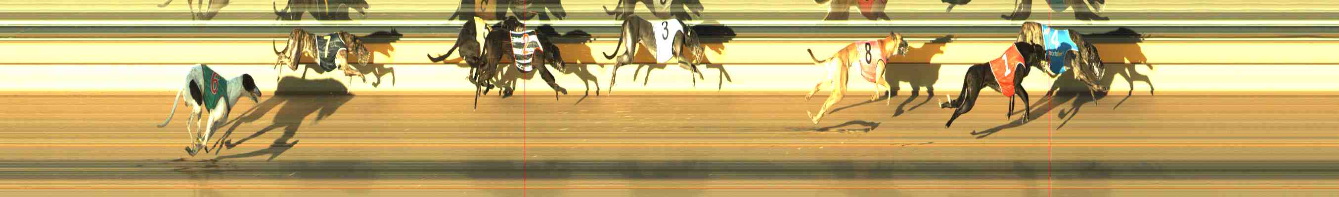 Photo finish for Horsham Race 5