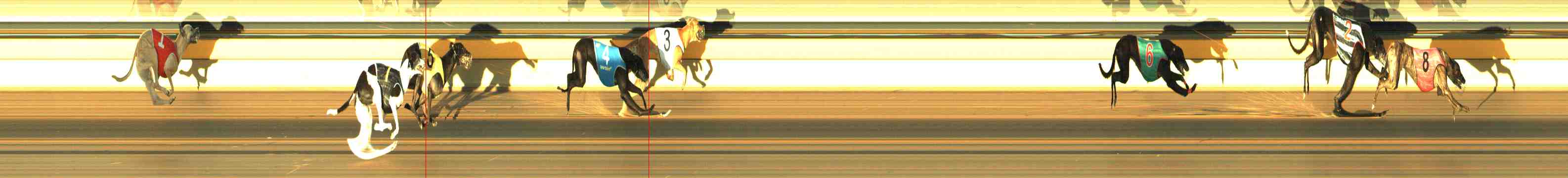 Photo finish for Horsham Race 6