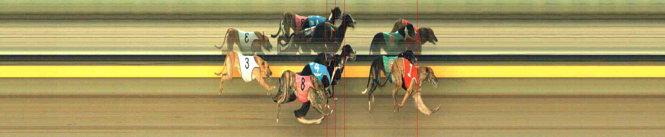 Photo finish for Horsham Race 7