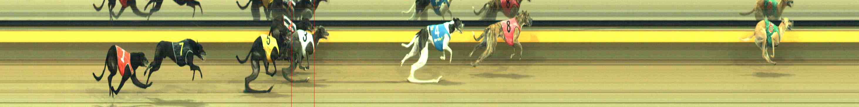 Photo finish for Horsham Race 8