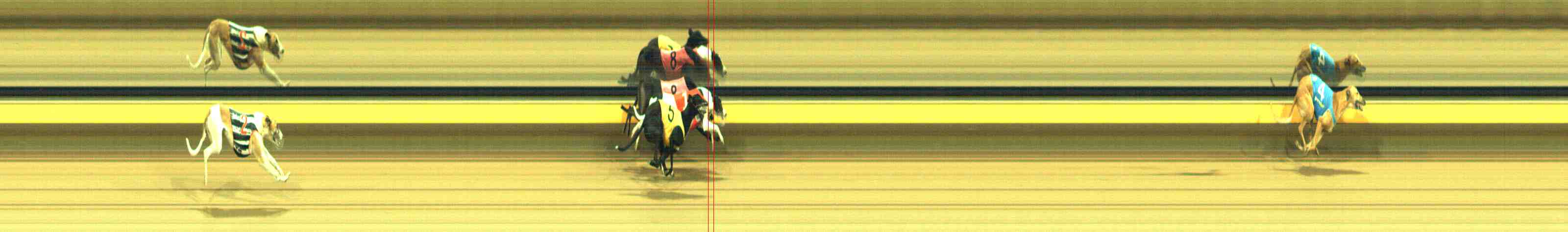 Photo finish for Horsham Race 9