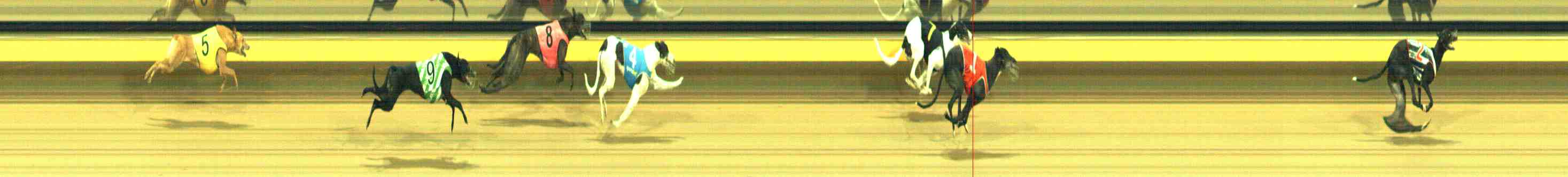 Photo finish for Horsham Race 10