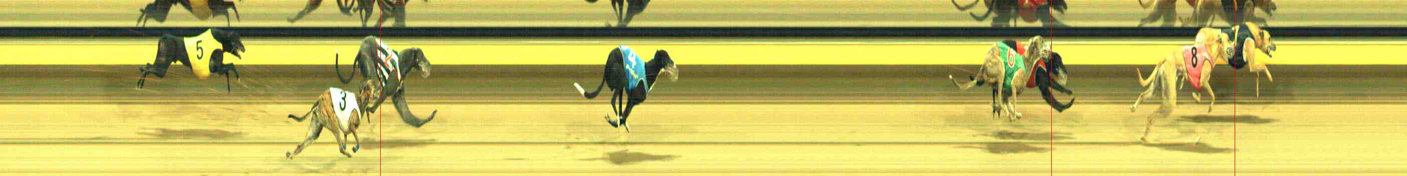 Photo finish for Horsham Race 11