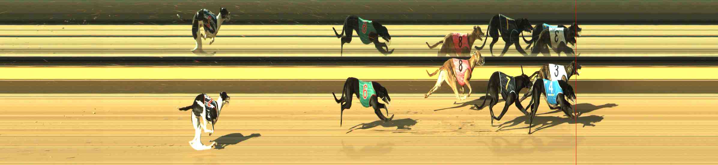 Photo finish for Horsham Race 1