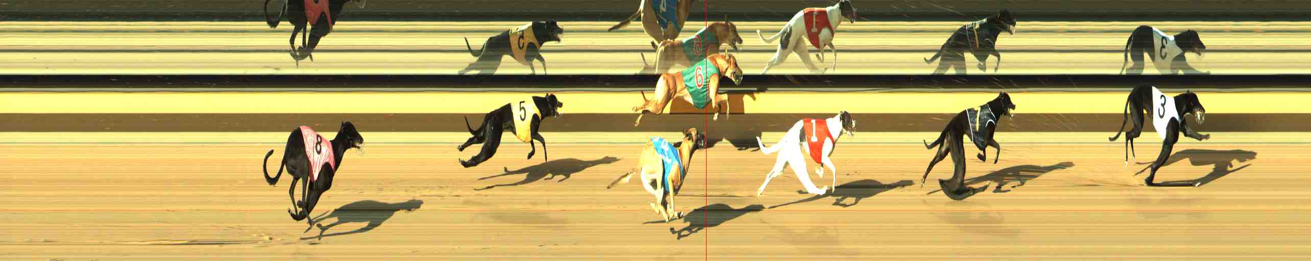 Photo finish for Horsham Race 2