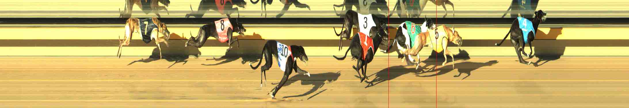 Photo finish for Horsham Race 3