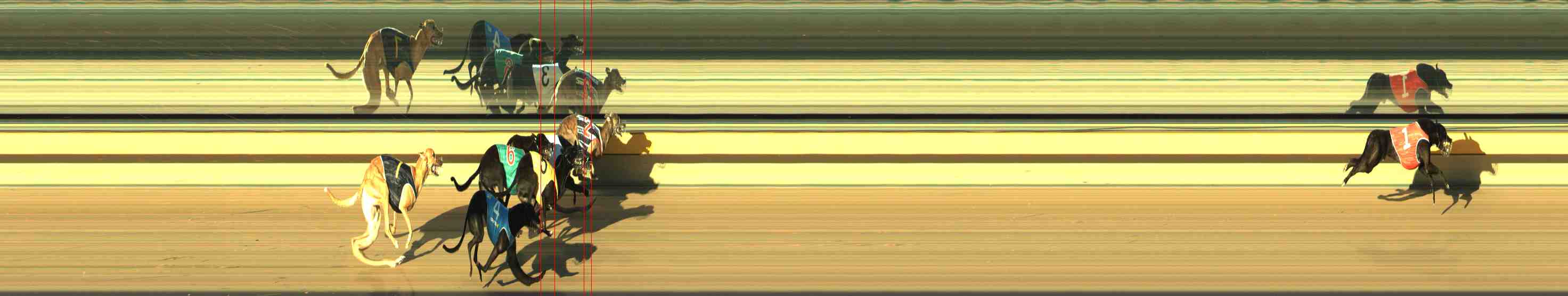 Photo finish for Horsham Race 4