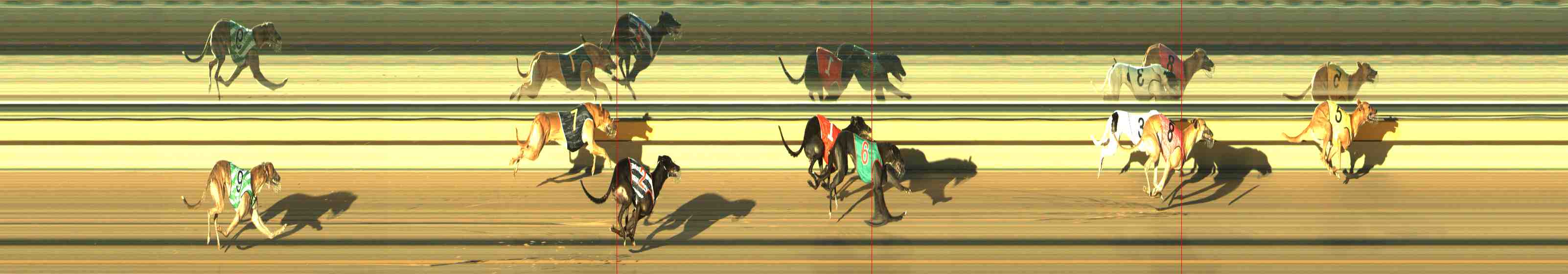 Photo finish for Horsham Race 5