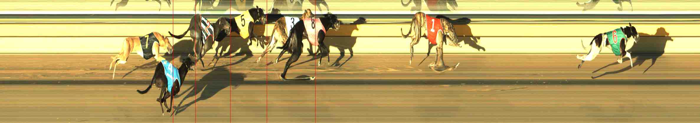 Photo finish for Horsham Race 6