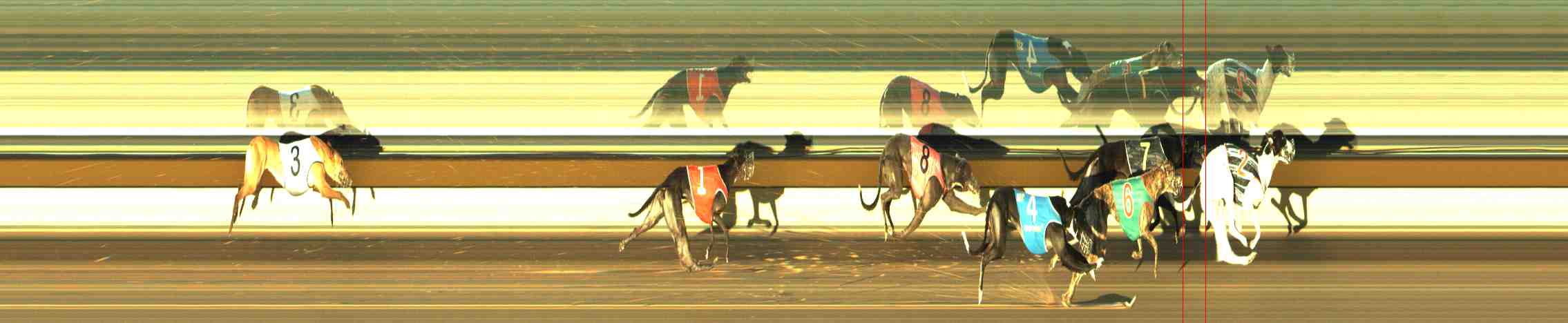 Photo finish for Horsham Race 7
