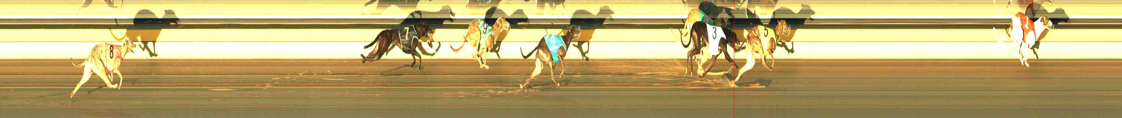 Photo finish for Horsham Race 8