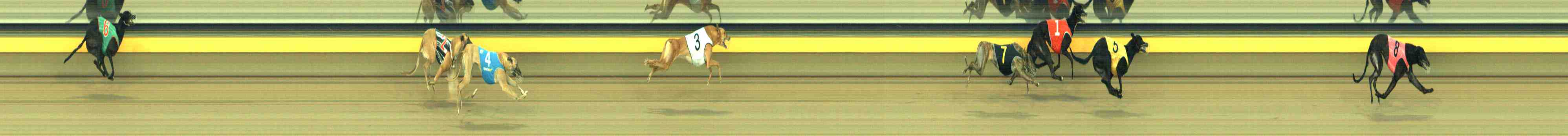 Photo finish for Horsham Race 9