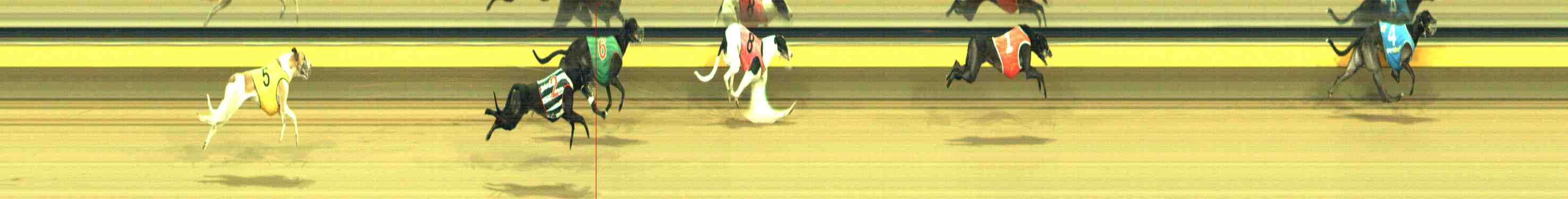 Photo finish for Horsham Race 10