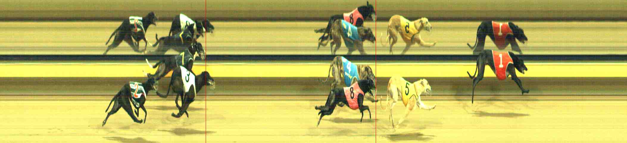 Photo finish for Horsham Race 11