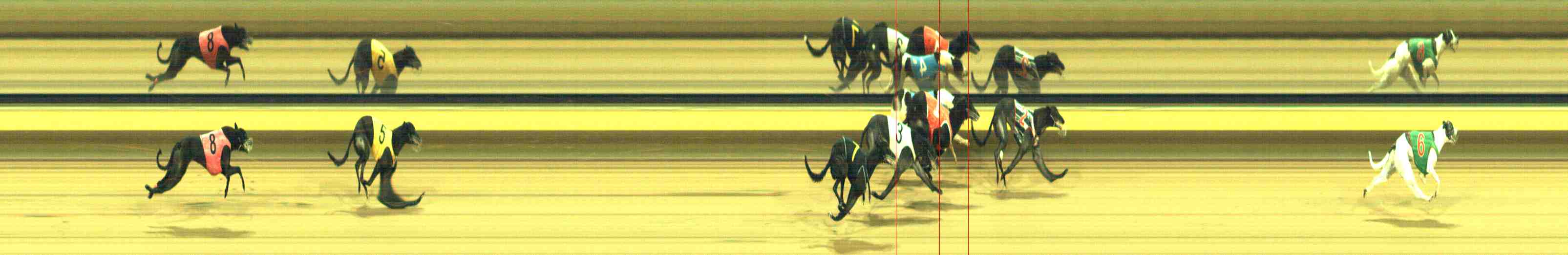 Photo finish for Horsham Race 12