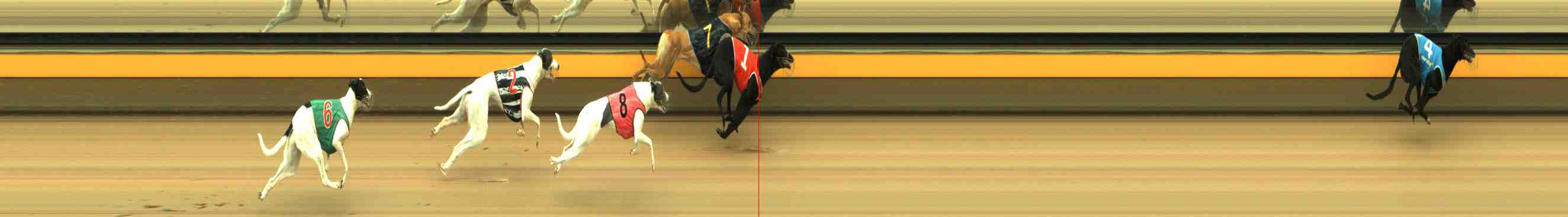 Photo finish for Horsham Race 1