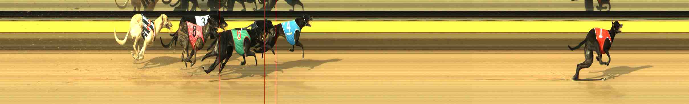 Photo finish for Horsham Race 2