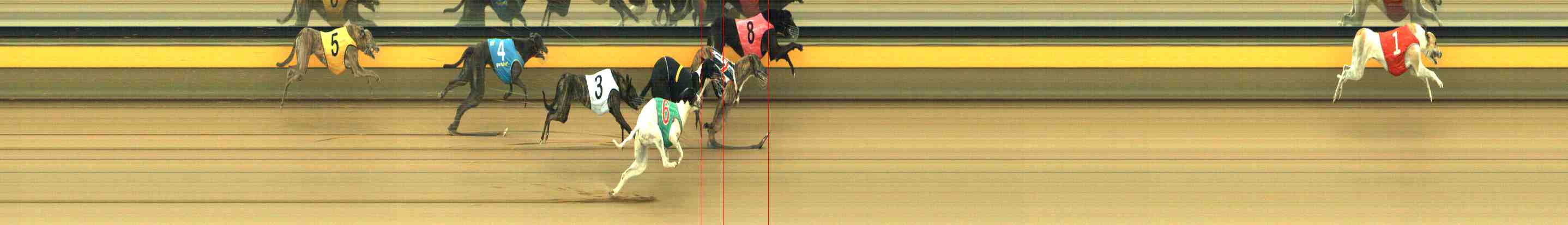 Photo finish for Horsham Race 3