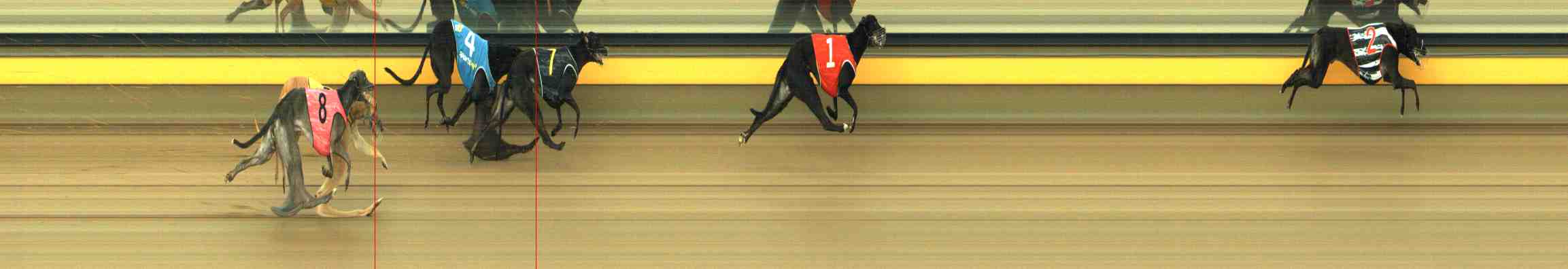 Photo finish for Horsham Race 4