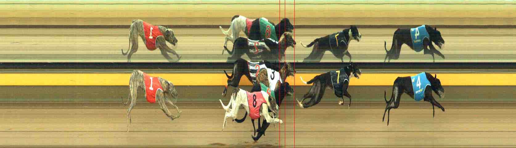 Photo finish for Horsham Race 5
