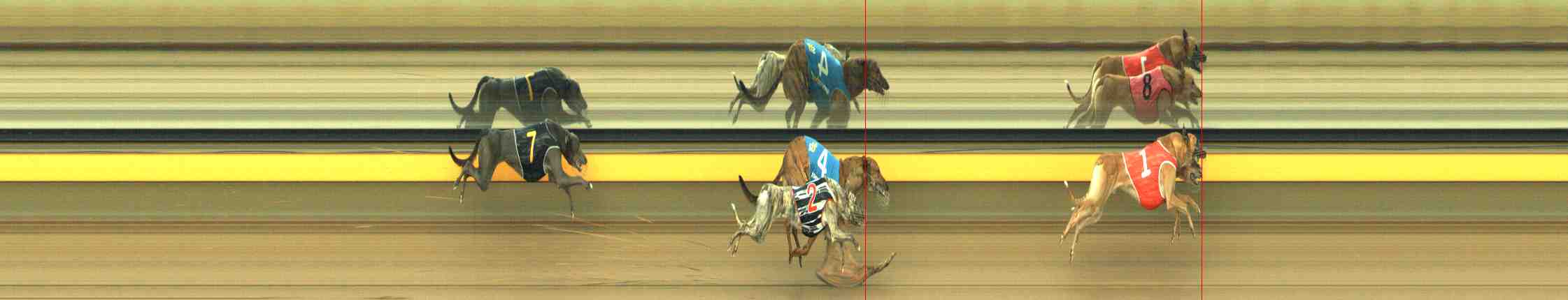 Photo finish for Horsham Race 6