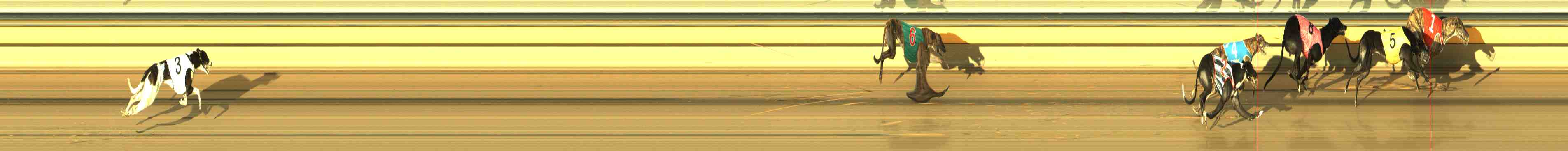 Photo finish for Horsham Race 7