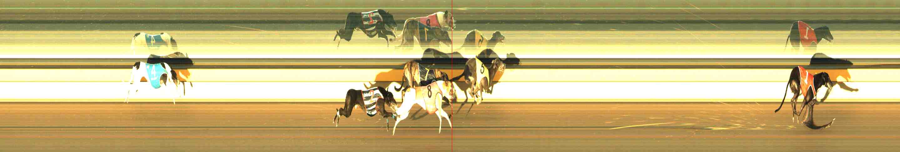 Photo finish for Horsham Race 9