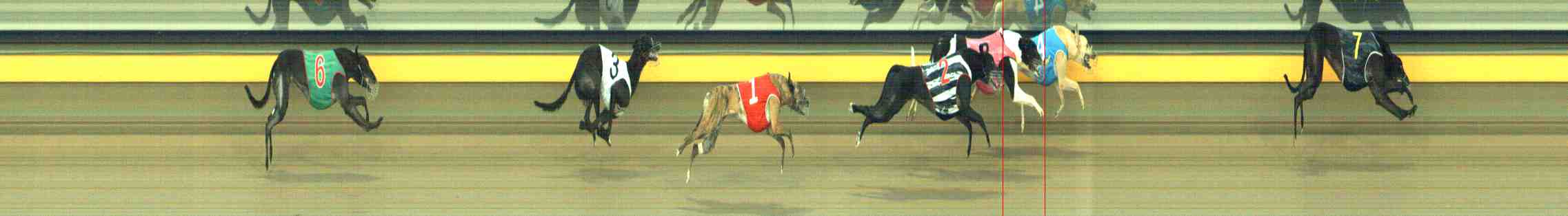 Photo finish for Horsham Race 10