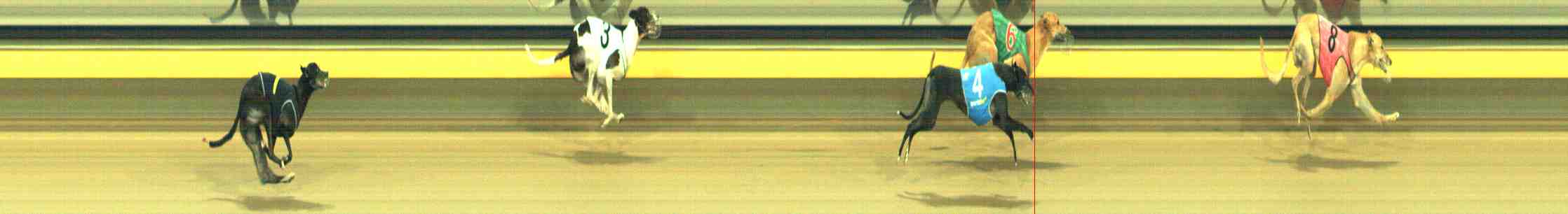 Photo finish for Horsham Race 11