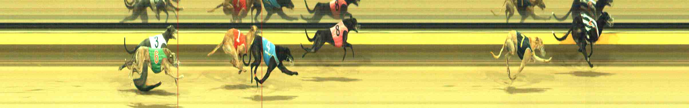 Photo finish for Horsham Race 12
