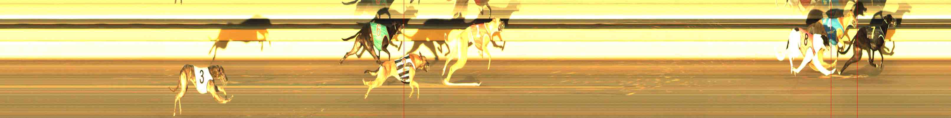 Photo finish for Horsham Race 1