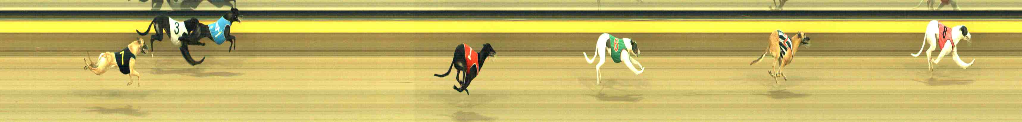 Photo finish for Horsham Race 2