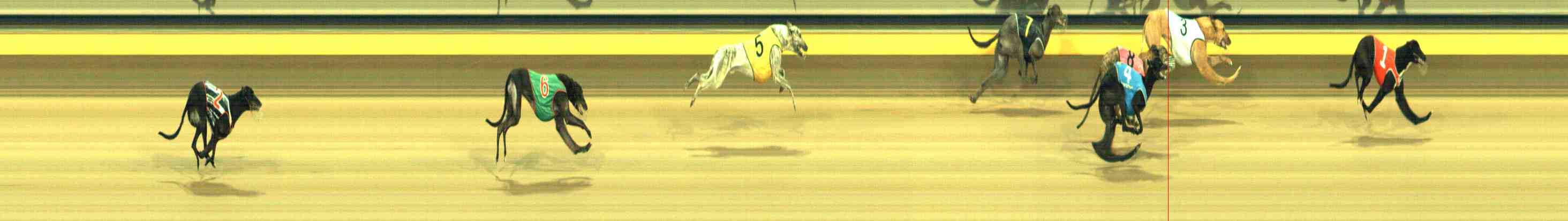 Photo finish for Horsham Race 3