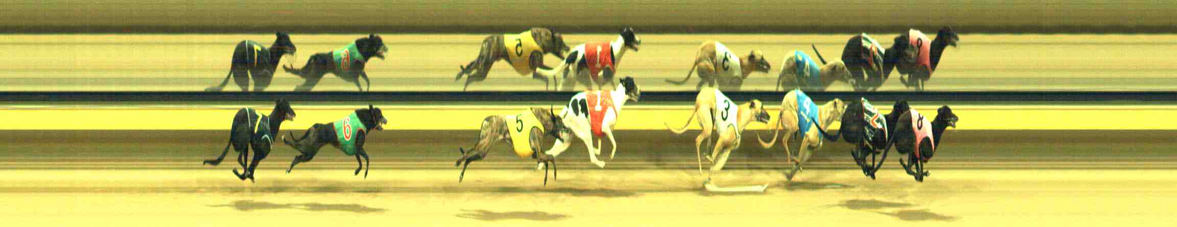 Photo finish for Horsham Race 4