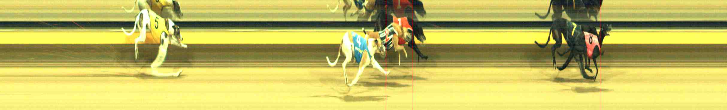 Photo finish for Horsham Race 6