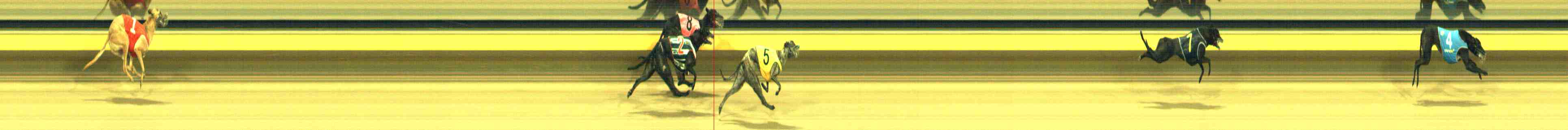 Photo finish for Horsham Race 7