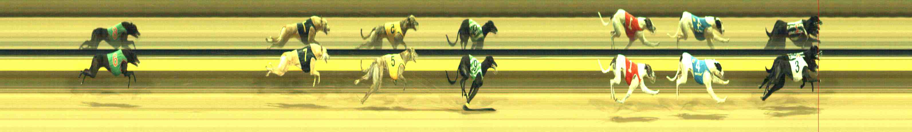 Photo finish for Horsham Race 8