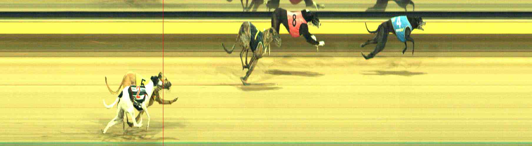 Photo finish for Horsham Race 9