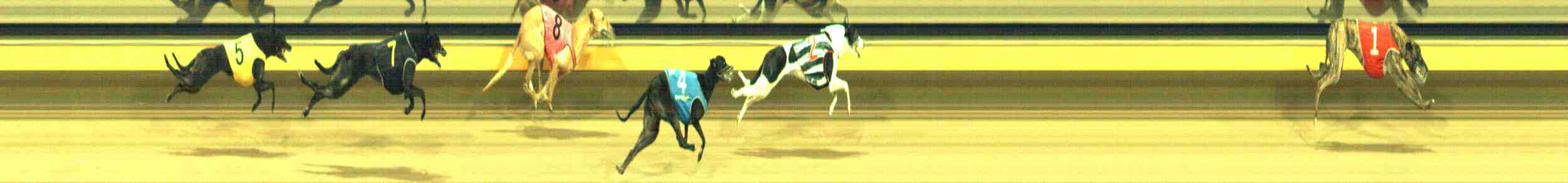 Photo finish for Horsham Race 10