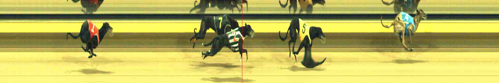 Photo finish for Horsham Race 11