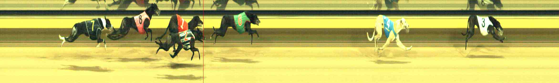Photo finish for Horsham Race 12