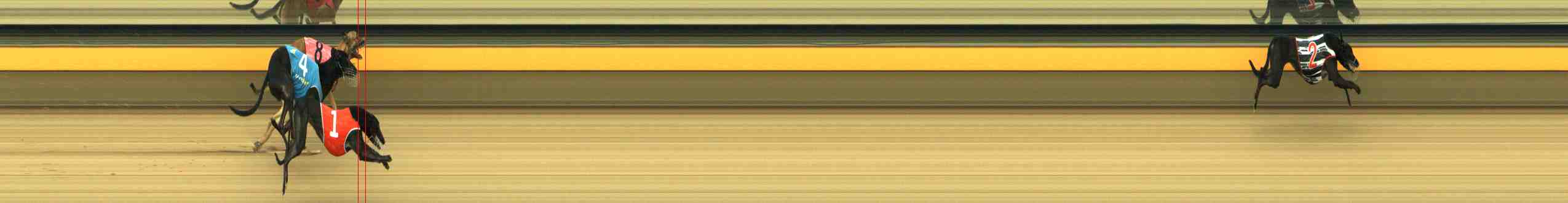 Photo finish for Horsham Race 1