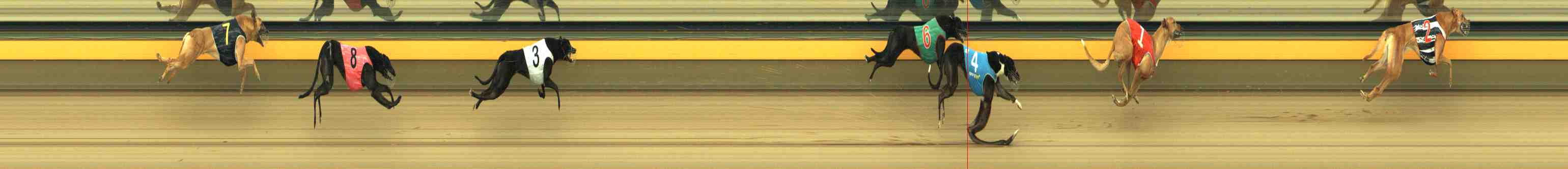 Photo finish for Horsham Race 2