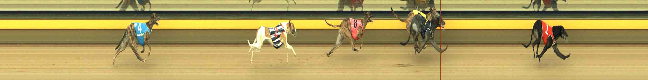 Photo finish for Horsham Race 3