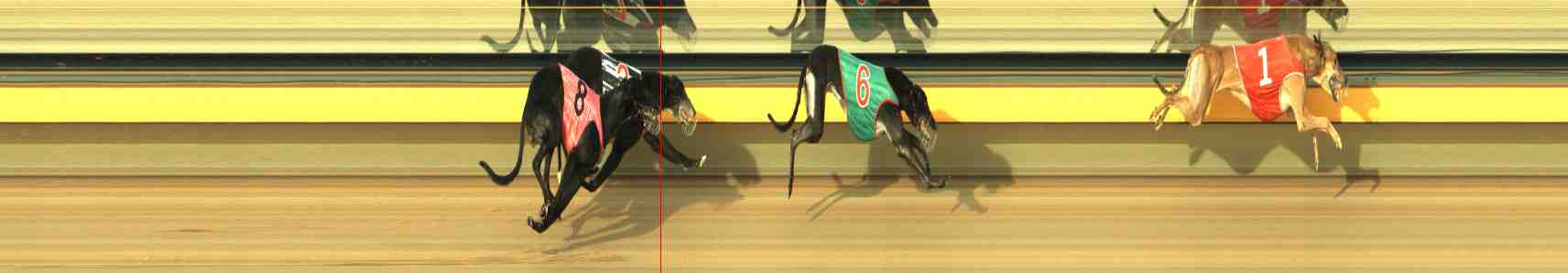 Photo finish for Horsham Race 4